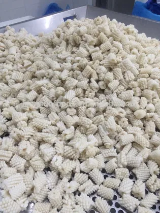 Frozen Giant Squid Wing Pinapple Cut Flower