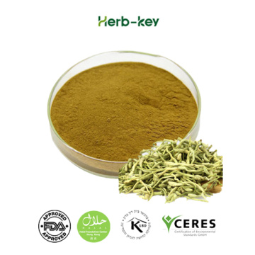 Honeysuckle extract Chlorogenic Acid 98% Honeysuckle extract
