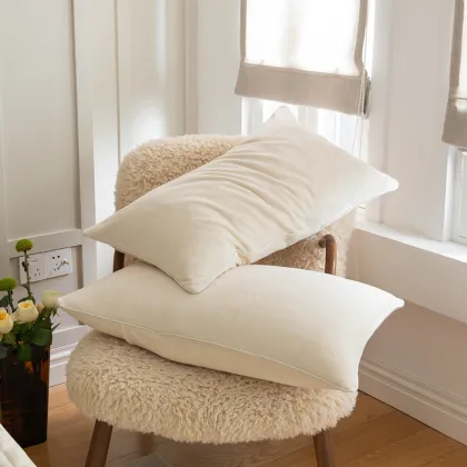 Winter Velvet Quilt Mattress Cover with Filling