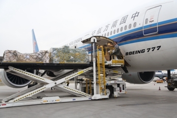 China 1 Stop Logistics Agent to South Africa and Africa