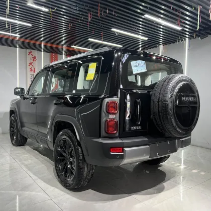 2024 second-hand HAVEL RAPTOR