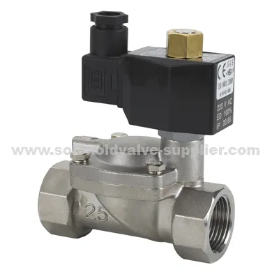 2way Stainless Steel 304 Ac 230v N/o Water Solenoid Valve 