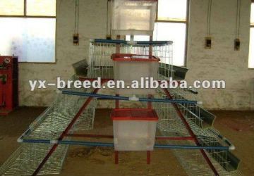 A and H type chicken breeding cages