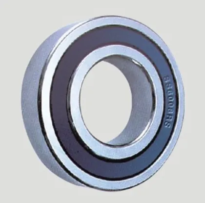 Deep Groove Ball Bearings-SS6014