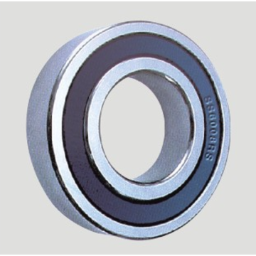 Deep Groove Ball Bearings-SS6013