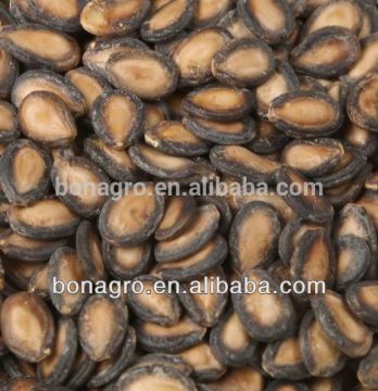 2014 black watermelon seeds