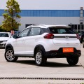 Chery Mini Gasoline Tiggo 3X