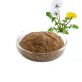 Wild Plant Extract Dandelion Extract