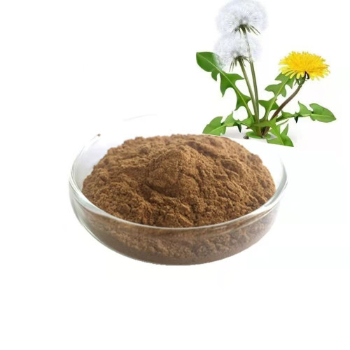 Wild Plant Extract Dandelion Extract