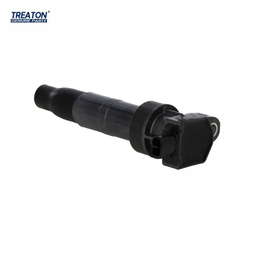 Treaton Auto Parts OEM 273013C000 27301-3C000 Ignition Coil for SanTa Fe 2005-2019