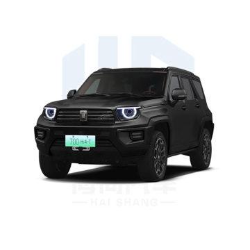 Tank 700 HI4-T Hybrid SUV: وصول جديد وسيارة هجينة GWM عالية الأداء GWM