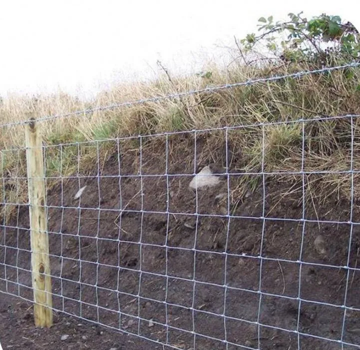 Valla de malla de alambre de venado de calidad más vendida