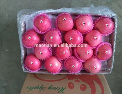 Fresh apple fruit packaging
