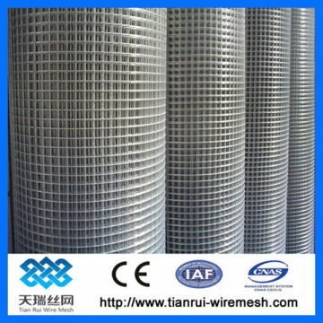 galvanized square wire mesh (factory)