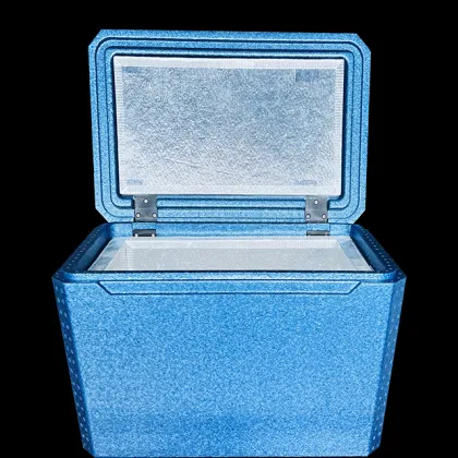 EPP Silica VIP Cold Boxes for Medicine