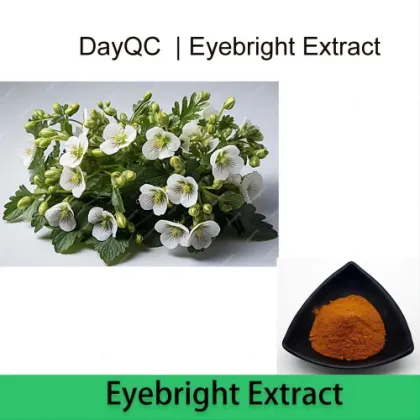100% Natural Eyebright Herb Extract by TLC