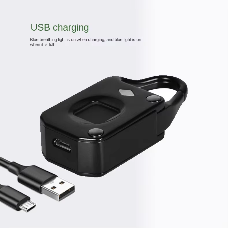 10 fingerprint sensor padlock