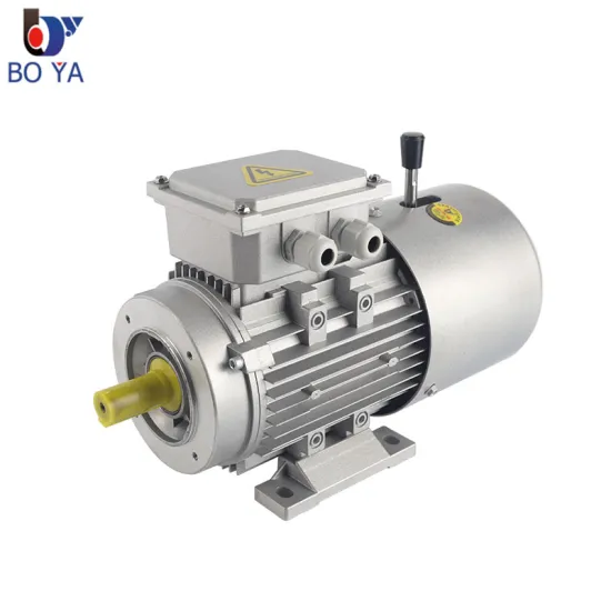 YSEJ High-Quality 0.75KW 380V AC Three-Phase Induction Motor with Brake