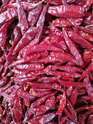 Dried Red Chilli Chaotian Chilli