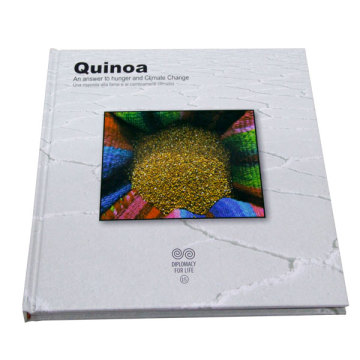 high quality color book printing service