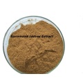 Buy online Eucommia Leaves Extract factory