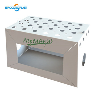 Factory Price Corrugated PP Asparagus Packing Box