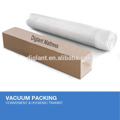 anti bedsore air red mattress