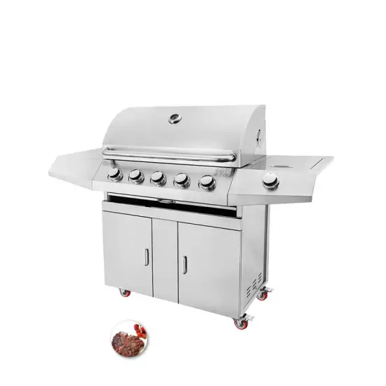 Outdoor Portable Kitchen Ss Design Barbeque Gas Grills for Balcony