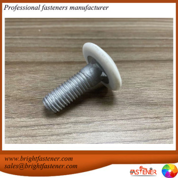 Non Standard Guardrail Bolt with Plastic Cover