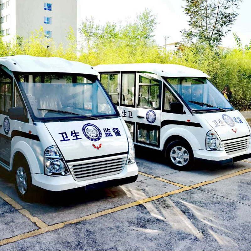 11-seater electric sightseeing car