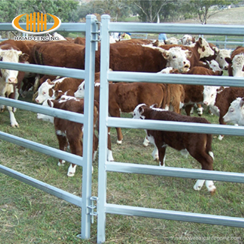 Panneaux d'élevage de bétail métalliques standard en Australie galvanisée
