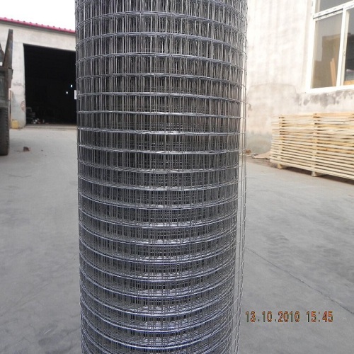 1/2 1/4 1inch Pvc Coated Welded Wire Mesh