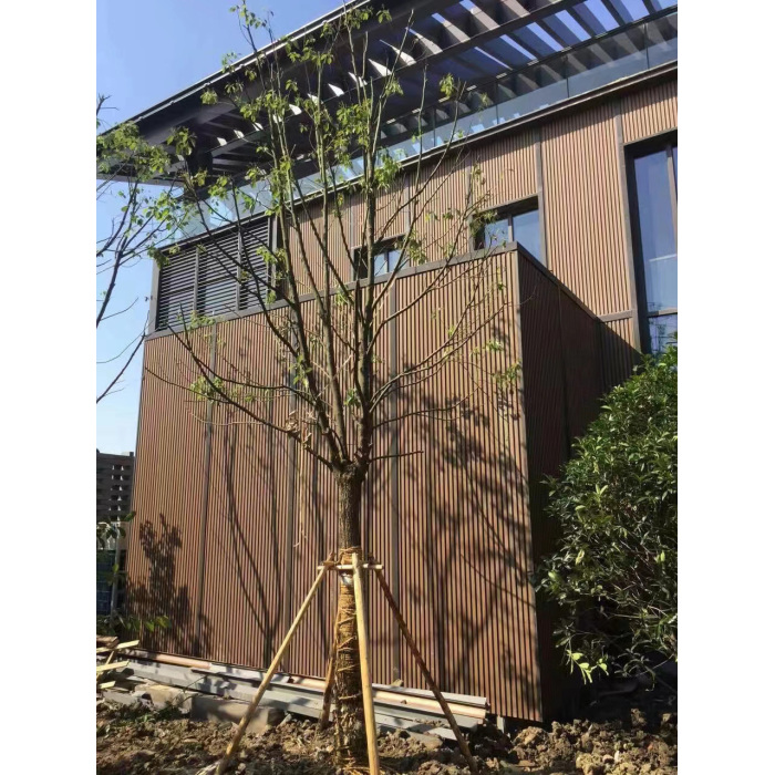 Tấm nhựa tổng hợp chức năng ngoài trời Tấm tường WPC