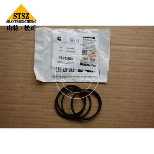 Cummins Spare Parts Rectangular Ring Seal 3820946