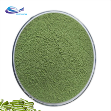 100% water soluble natural sea cucumber powder