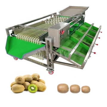 Hochproduktivitäts -Avocado -Sortiermaschine und Kartoffelgröße