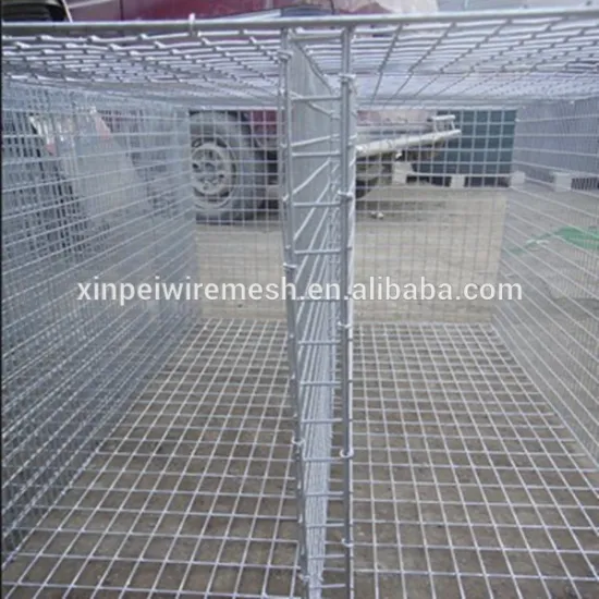 Hot dipped galvanized wire breeding mink cages with wooden box