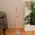 Живой фэнтезийный пузырьный аквариум с красочной рыбой и световыми эффектами
