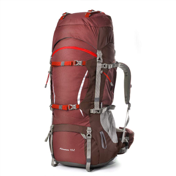 70L Adult Trekking Backpack for Camping and Travel - Rain Cover Included