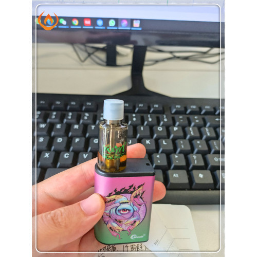 RM Box Pro 6000 Puffs Vape deputado