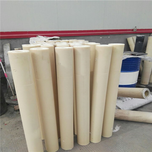 25mm Nature Cast Nylon Polyamide Sheet