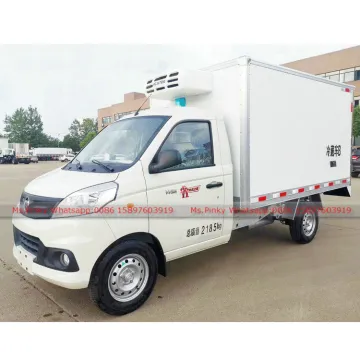 Mini Small Foton Freezer Cargo Car 1-3Tons Loading Capacity  Whatsapp: 0086 15897603919