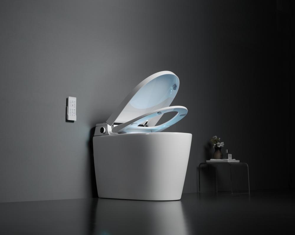 8303a 6smart Toilet