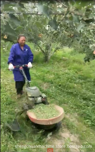Mini Machine Grass Cutter for Farming and Agricultural Weeding Equipment