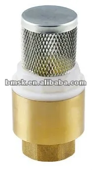 Brass Vertical Check Valve with Stainless Steel Mesh Filter