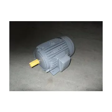 Teco Type Three Phase Electric Motor