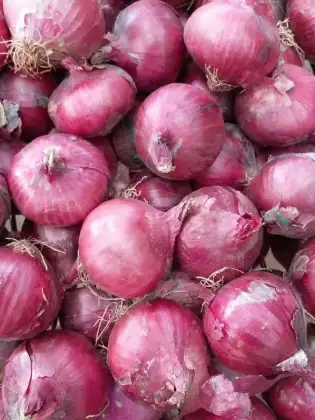 Health Foods for Fresh Onion Red