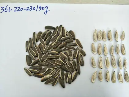 sunflower seeds 361