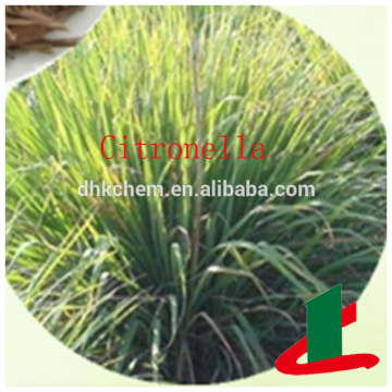 Citronella oil distillation plant,citronella grass oil