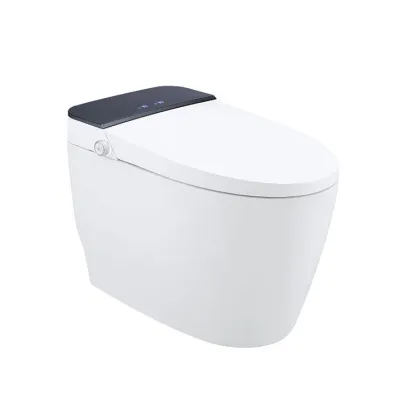 Modern Smart Toilet Bidet Sanitary Ware